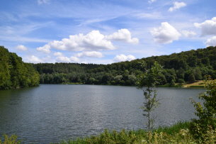 Twistsee 20 (5)