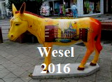 Wesel 16 (10)