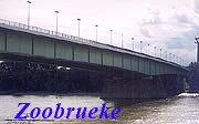 ZOOBRUE03