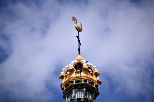 Zeeland 19 (10)