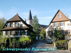 zell-1