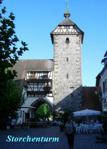 zell-5
