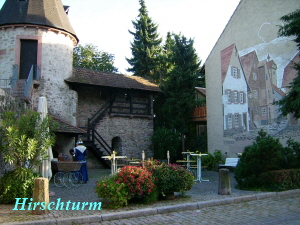 zell-nacht2