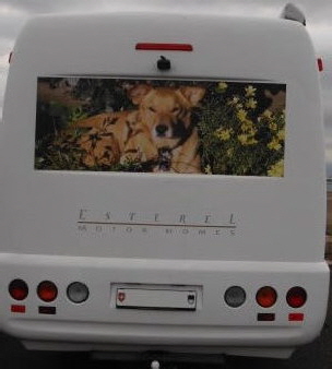 dog-ch