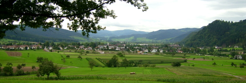 zell